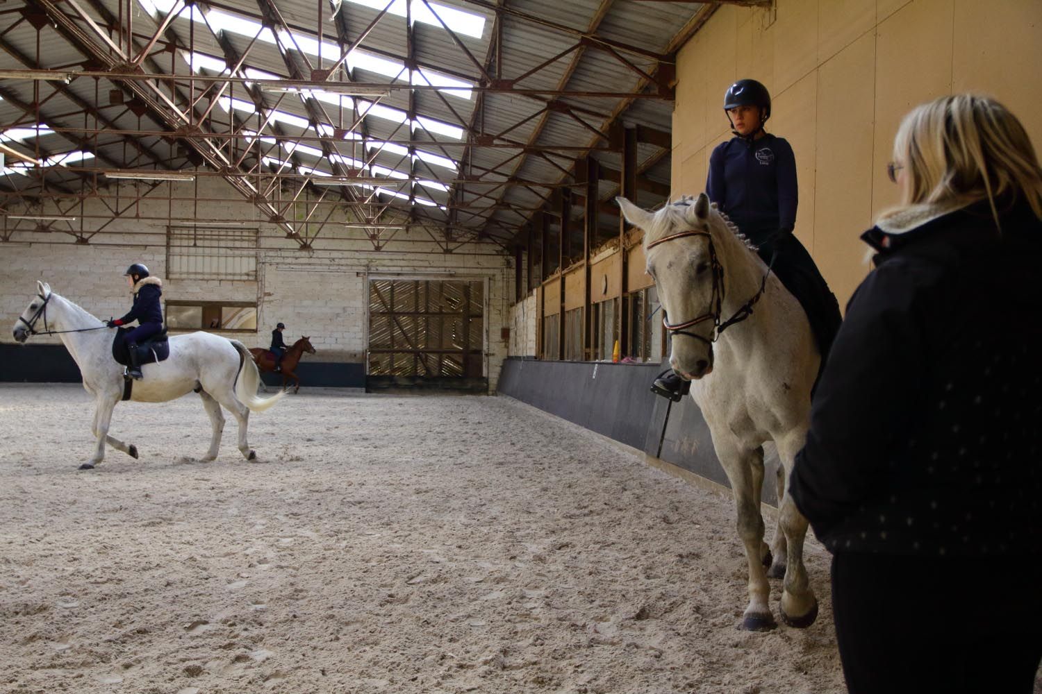 cours de dressage